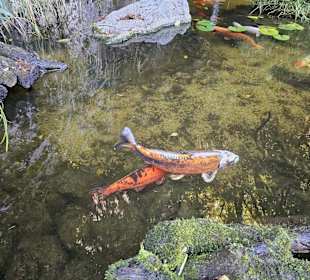 Grotta Cascata Varone