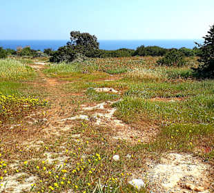 Nationalpark Kap Greco