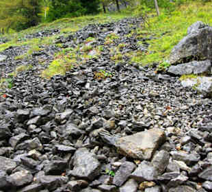 Plöckenpass Ende September 2010