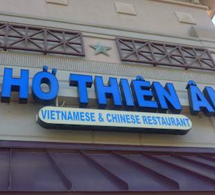 GOOD VIET FOOD IN TEXAS