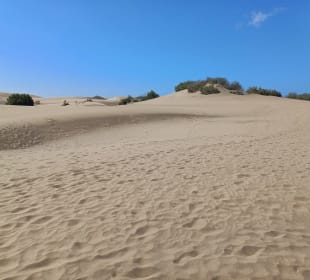 Dünen von Maspalomas