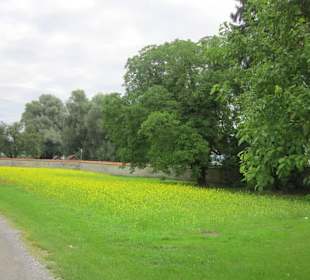 Insel Reichenau Münster