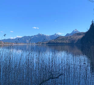 Weißensee