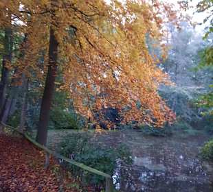 Wandern Bispingen