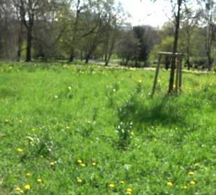 Parkanlage Villa Berg