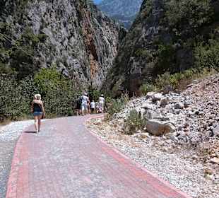 Начало пути