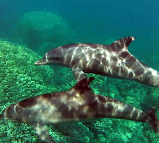 Sonnenuntergangstour