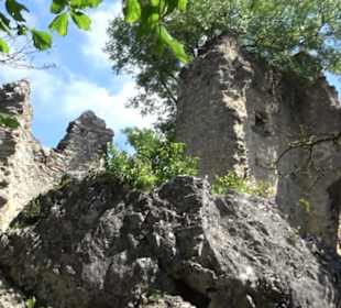 Burgruine Niederhaus