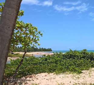 Karibikstrand 