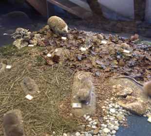 Natur- und Jagdmuseum