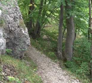 Burgstein Traifelberg