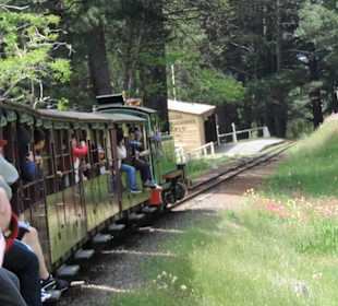 Mit der Puffing Billy Dampfbahn unterwegs