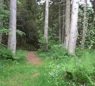 Doline Weidenwang