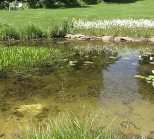 Botanischer Garten der Universität Zürich