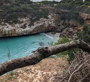 Verstecke Bucht 