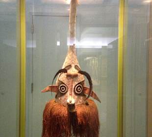 Museum of Natural History, New York