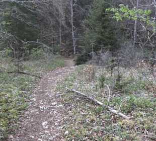 Wanderweg Hochgehswiggert
