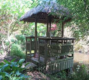 Dschungelhütte