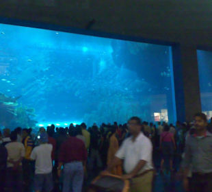 Dubai Mall Aquarium