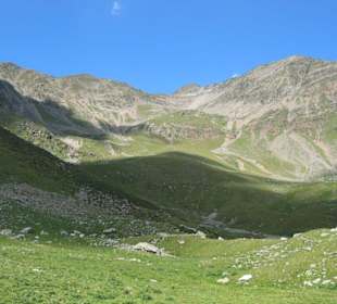 Almwiesen