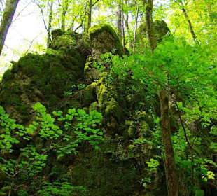 Wanderung zum Bärenfels