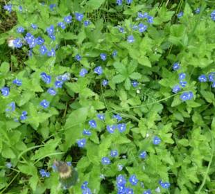 Unterwegs auf der Ostheimer Streifberg-Tour