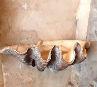 Notre-Dame-et-Saint-Castor