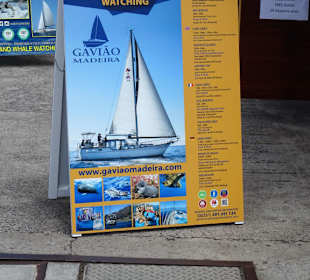 Aufsteller der Ticketverkäufer im Hafen Funchal