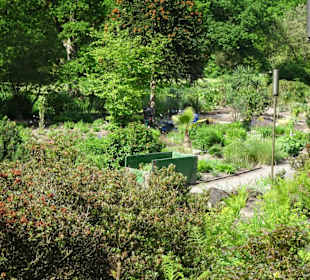 Spaziergang durch den Botanischen Garten Bremen