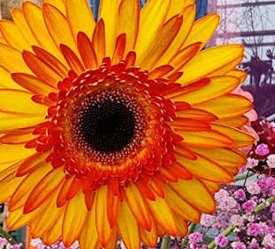 Sowas sieht man doch gerne