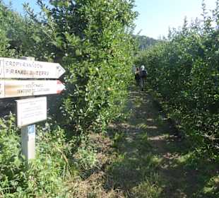 Wanderweg Keschtnweg