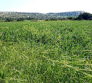 Nationalpark Kap Greco