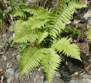 Schöne Wanderungen bei Oberstdorf