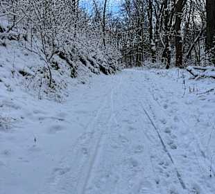 Sport & Freizeit
