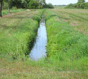 Eindrücke aus dem Teufelsmoor