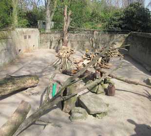 Zoo Heidelberg