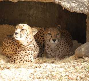 Washington Zoo