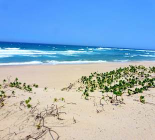 Kosi Bay Strand
