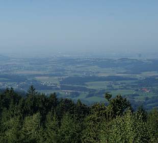 Aussicht vom Wald Wipfel Weg