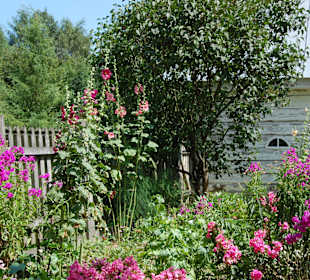 Muzeum Wsi Lubelskiej