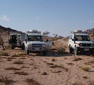 Eine Safari kann ich nur empfehlen