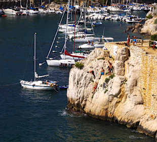Calanque von Cassis Klippenspringer