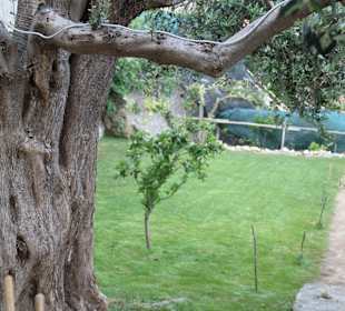 Ristorante Locanda Costa Diva Praiano Amalfi