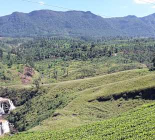 St Clair's Falls; Nuwara Eliya