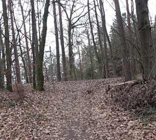 Unterjesinger Wengertwegle