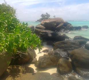 Anse Royale