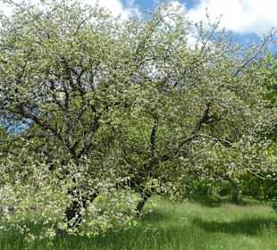 Unterwegs auf der Ostheimer Streifberg-Tour