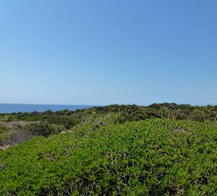 Blick vom Castell de n'Amer