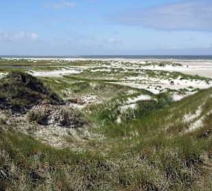 Dünen und Vordünen