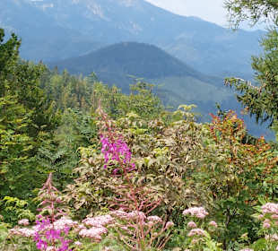 Wandern Mariazell